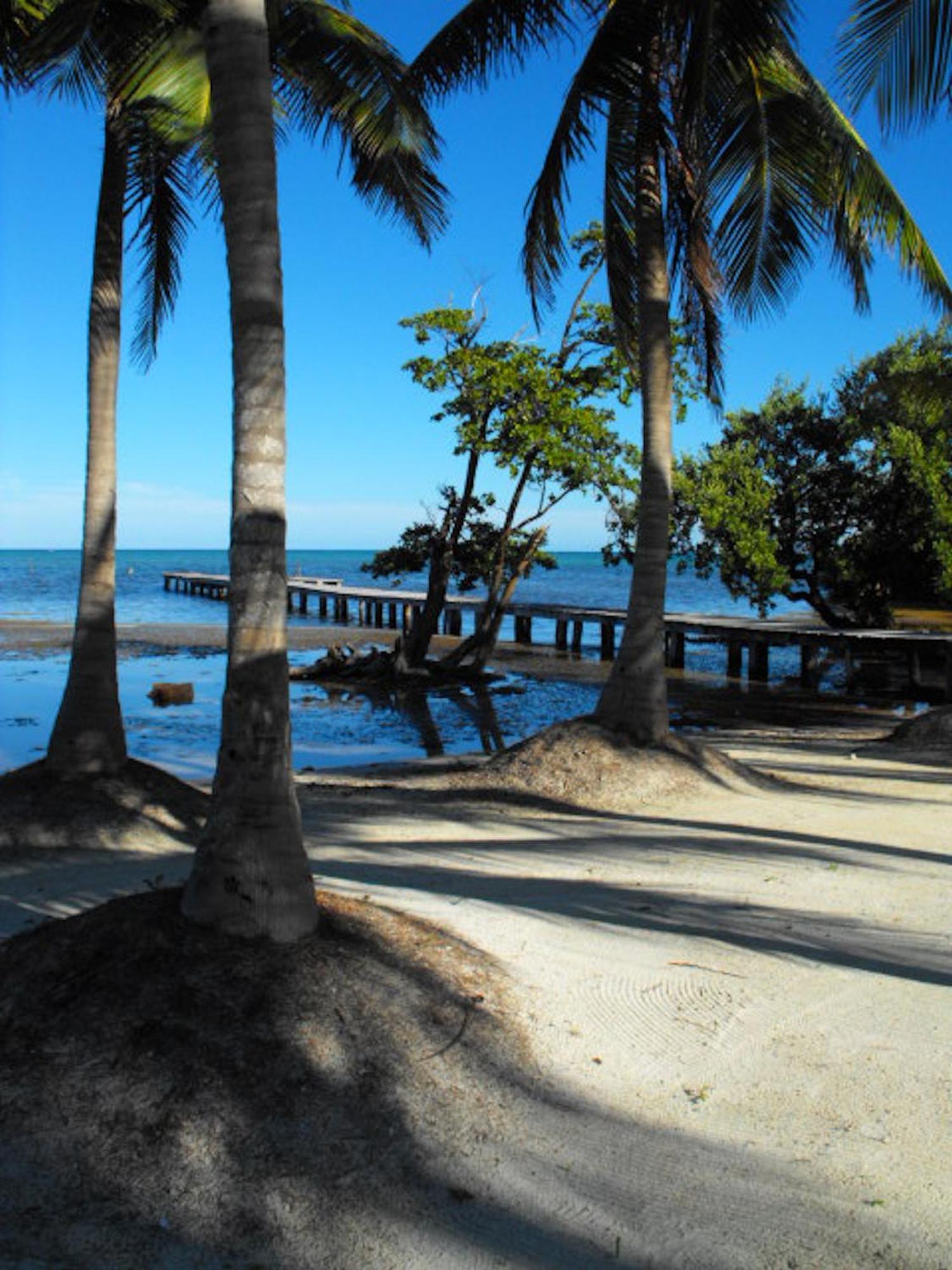 Costa De Cocos Hotel Xcalak Exterior foto