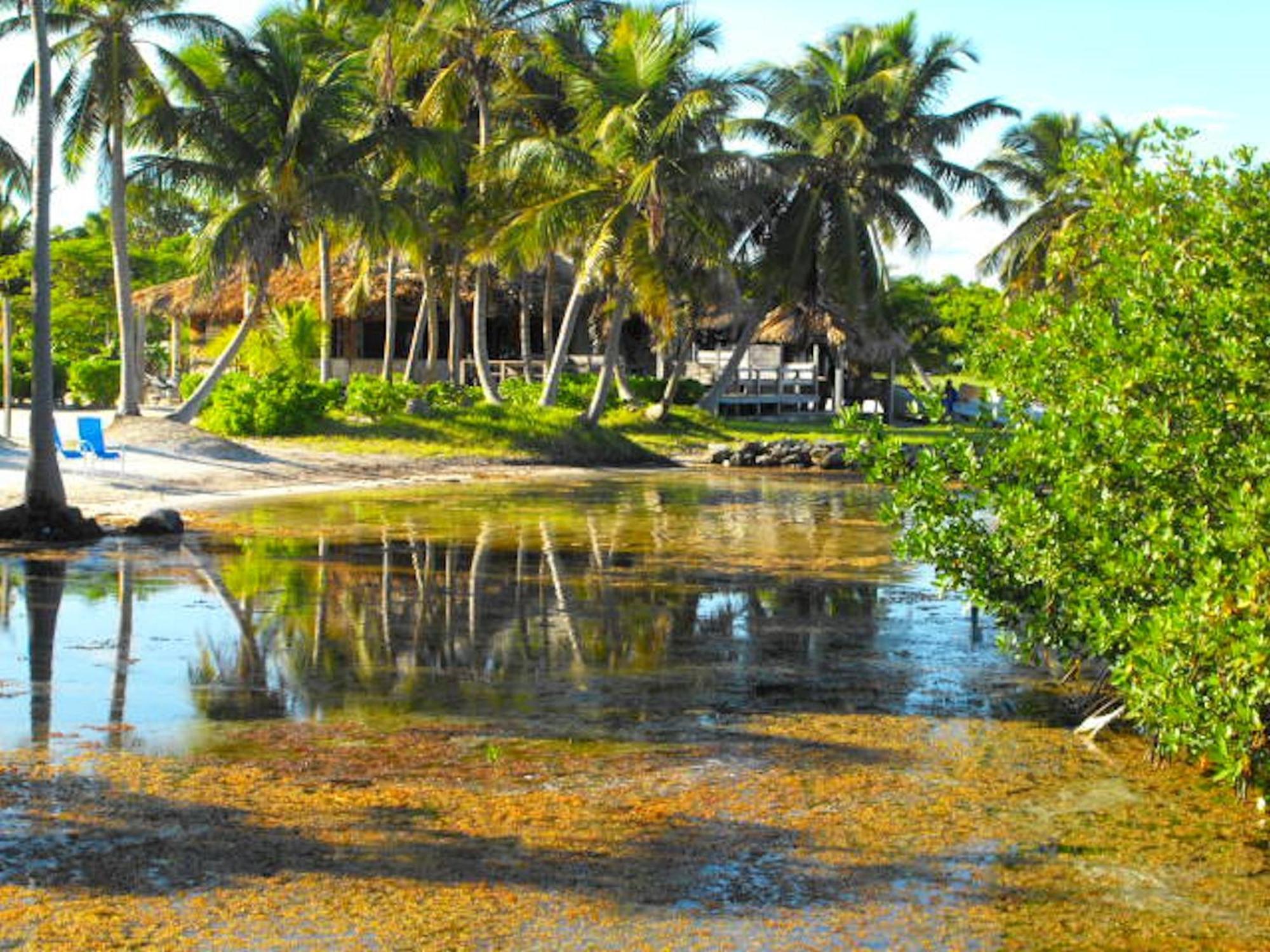 Costa De Cocos Hotel Xcalak Exterior foto